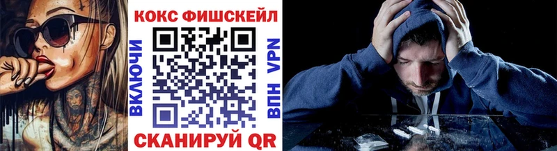 где продают наркотики  Жердевка  Cocaine Fish Scale 