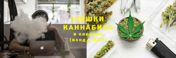 спайс Гусев