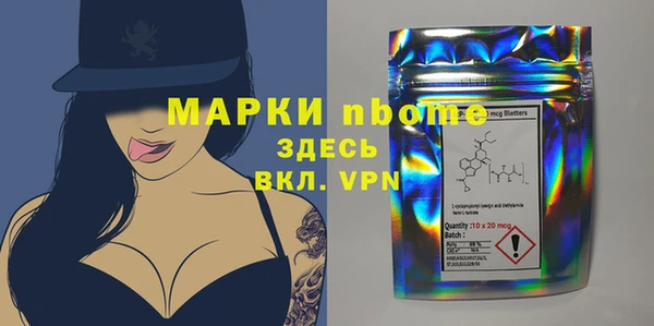 гашик Дмитриев