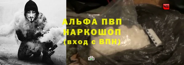 спайс Гусев