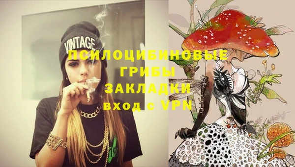 ГАЛЛЮЦИНОГЕННЫЕ ГРИБЫ Дмитров