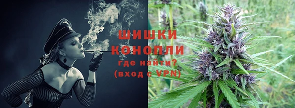 гашик Дмитриев
