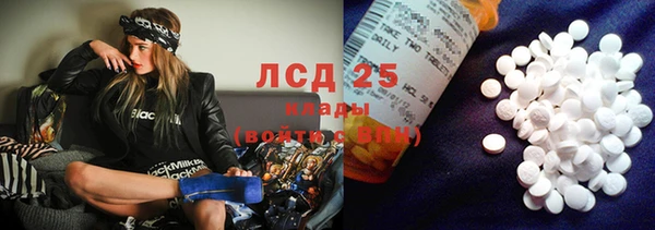 гашик Дмитриев
