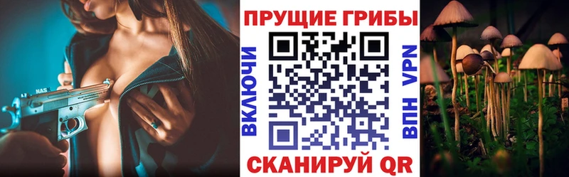 Галлюциногенные грибы Cubensis  Жердевка 